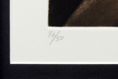 AF809-3